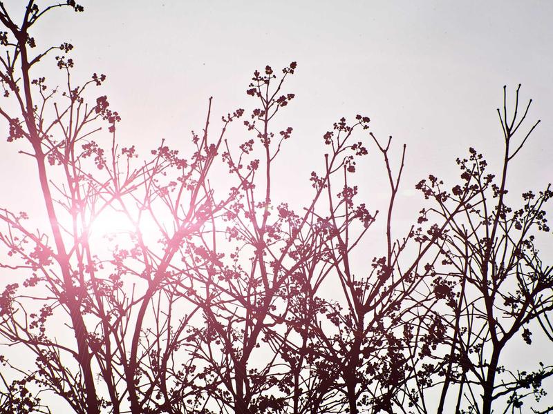 feedback screenshot 1